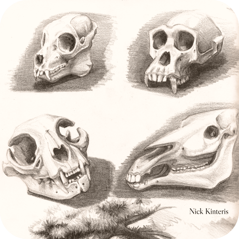 A Look Inside My&nbsp;Sketchbook